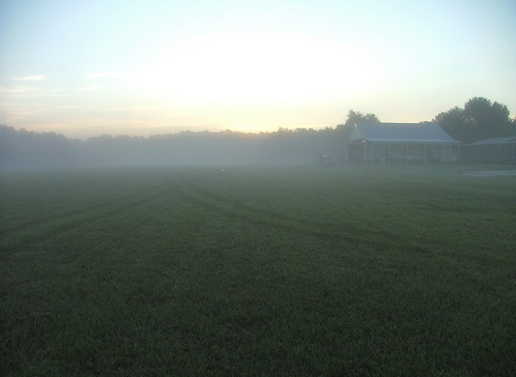 7-16am ground fog looking east